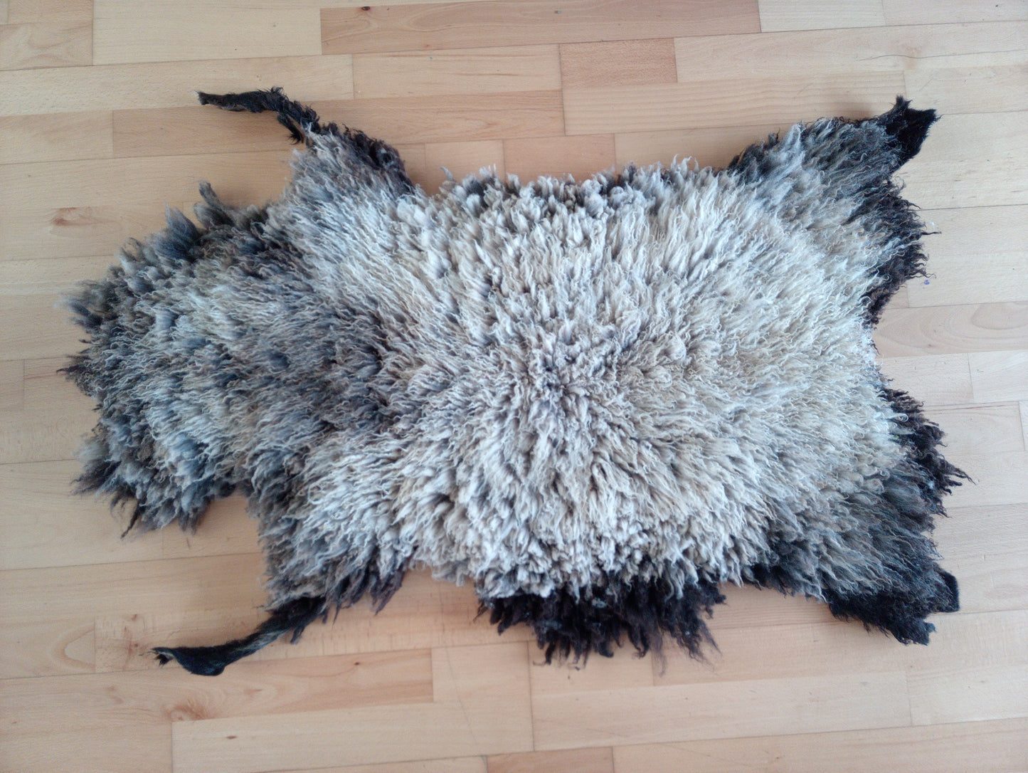 AVAILABLE Shetland