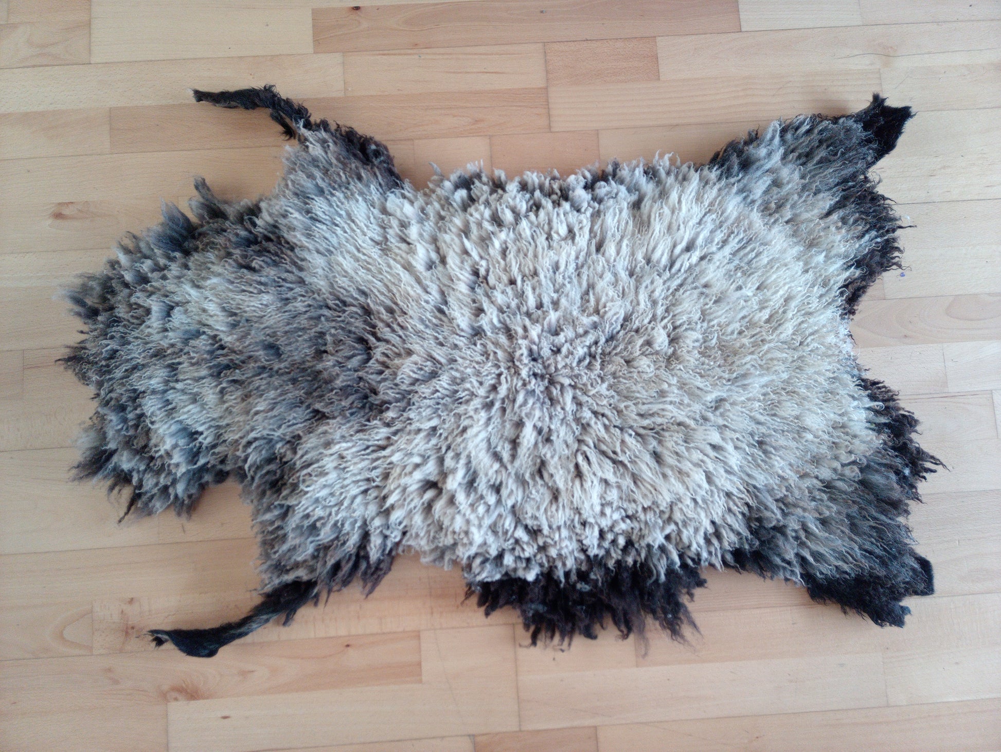 AVAILABLE Shetland