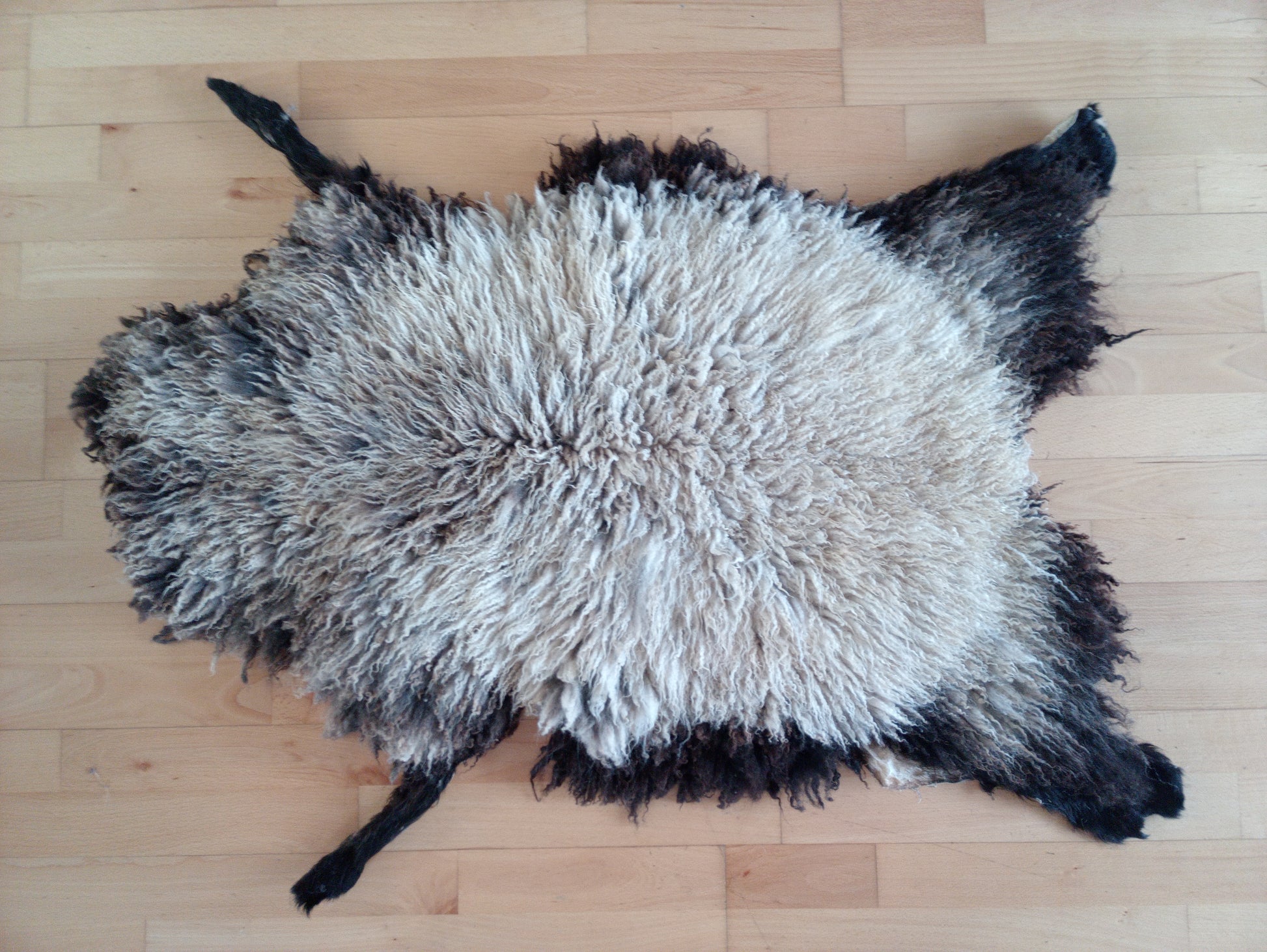 SOLD Shetland