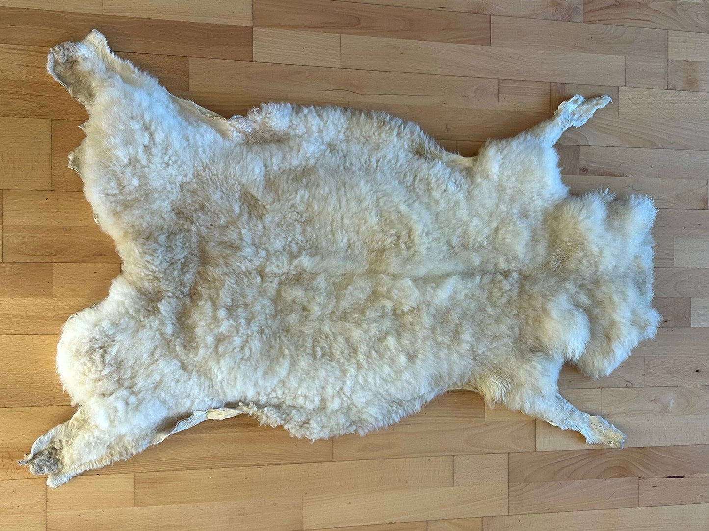 SOLD Shortwool Lambskin